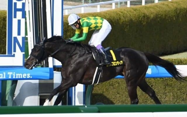 【仁川S結果】武豊騎手騎乗の9番人気ルクスフロンティアが抜け出し快勝