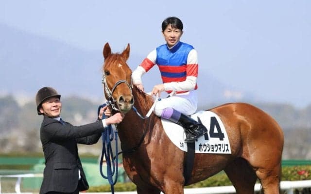 【阪神2R】河内洋師×武豊 ホウショウマリスが鮮やかに抜け出す