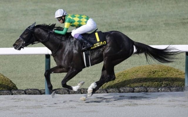 【仁川S】武豊ルクスフロンティアが鮮やかに抜け出す