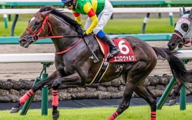 中山芝は内＆前有利 絶好枠のエコロヴァルツが重賞初制覇だ