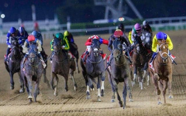 【ドバイ・ブルジュナハール】日本のテーオーサンドニは大敗