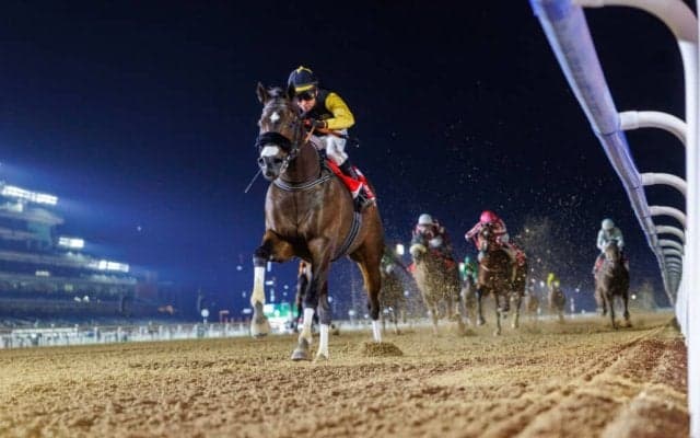 【ドバイ・マハブアルシマール】アメリカンステージが2着に好走…勝利したのはタズ