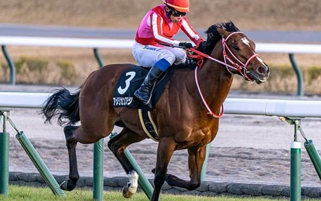 【ドバイ・スーパーサタデー結果】アメリカンステージは2着、テーオーサンドニは14着