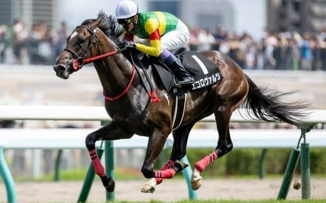 【中山記念予想】勝ち馬には大阪杯への優先出走権 国内外のGI戦線を占う別定GII