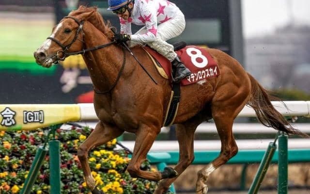 【中山記念予想】リピーター＆中位人気馬好走する？ 過去データで探るGII中山記念