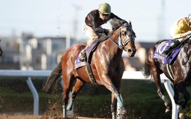 19年JBCスプリント覇者 ブルドッグボスが産駒のJRA初勝利