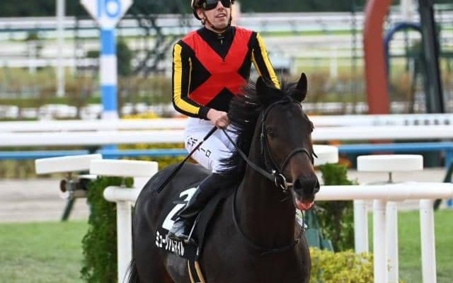 【弥生賞】ミュージアムマイル、ヴィンセンシオらが登録