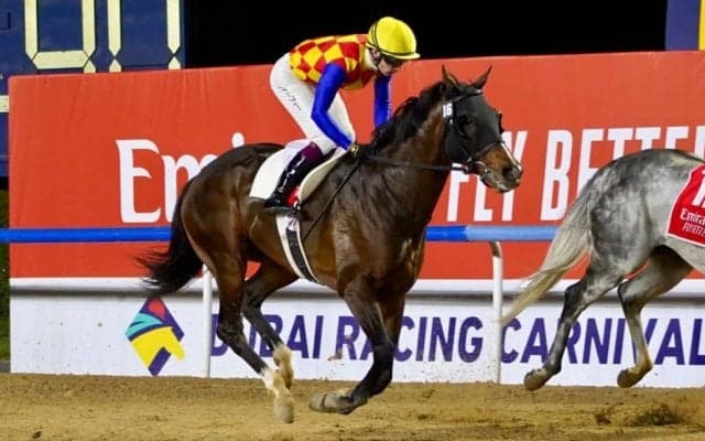 【ドバイ・ブルジュナハール】マーフィー「厳しい展開に…」テーオーサンドニは14着