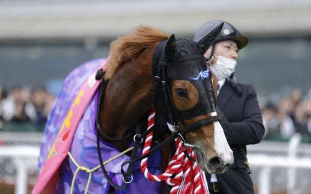 【チューリップ賞】酒井「最高に嬉しいです」クリノメイが桜花賞出走権獲得