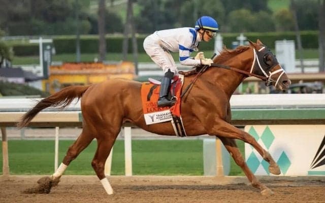 【米サンタアニタHC】ロックドが8馬身半差圧勝