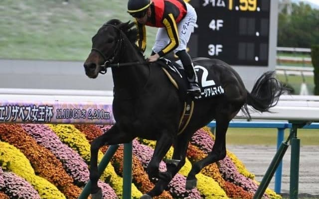 弥生賞、フィリーズレビューなど3重賞/今週の競馬界の見どころ