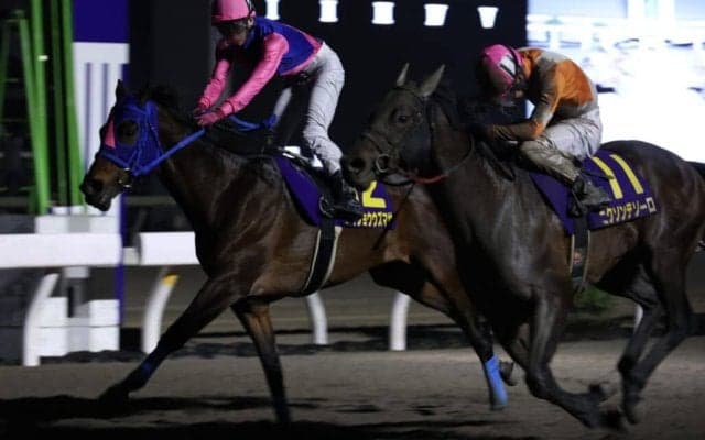 【高知・御厨人窟賞】ニクソンテソーロ/メイショウウズマサが同着…ヘルシャフトは9着