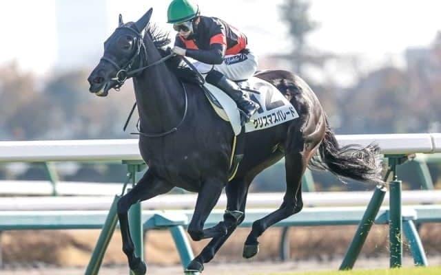 【中山牝馬S見どころ】前走の鬱憤を晴らすクリスマスパレード