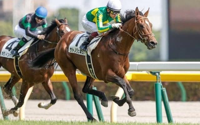 【25年の新種牡馬たち】GI馬の全弟サトノジェネシス “未完の大器”は父として飛躍するか