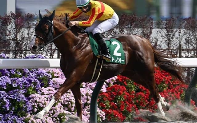 【先週のJRA抹消馬】重賞2勝馬ミトノオー、砂の快速馬ダノンセシボンなど