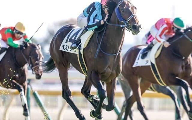 【AI予想・弥生賞】前走の着順や人気は要チェック！ ポテンシャルの高さを感じさせる人工知能の本命候補とは