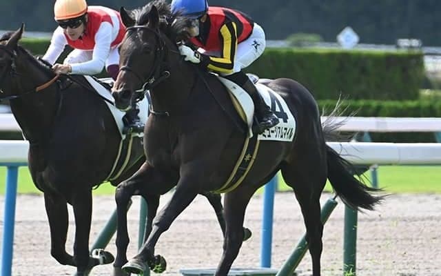 【弥生賞想定騎手】ミュージアムマイルは幸英明騎手、ナグルファルは川田将雅騎手