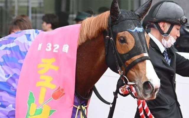 渋った馬場を味方にクリノメイがチューリップ賞制覇 GI・4勝の名牝ラッキーライラックとの共通点も