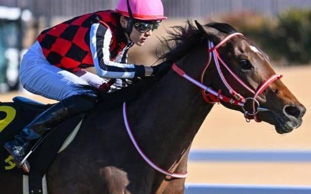 JRA重賞の史上最高額勝ち馬になるか 矢作厩舎の3.2億円馬が弥生賞に参戦