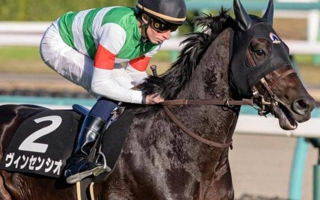 C.ルメール騎手9年ぶりの弥生賞制覇へ 葉牡丹賞レコードVの良血馬と挑む