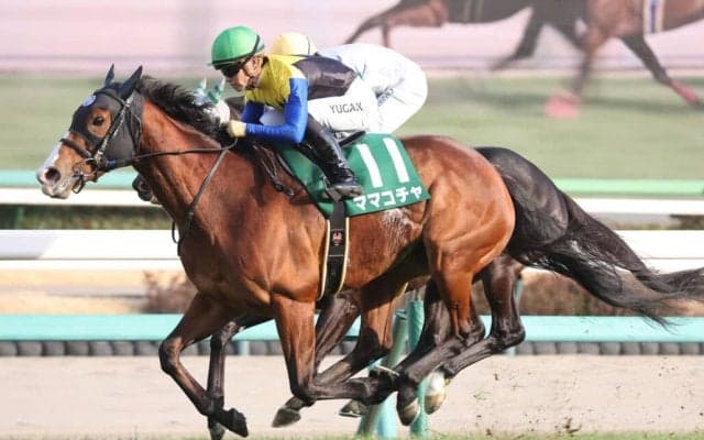 【オーシャンS】川田「やっとこの馬らしく動くことが出来た」ママコチャが久々重賞V