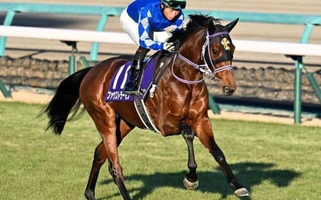 モズアスコット産駒の初重賞Vへ 師走の中山で激走見せた初年度産駒が弥生賞に参戦