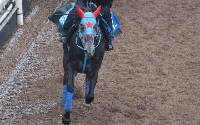 ビッグシーザーなど、先週の入厩情報/栗東トレセンニュース