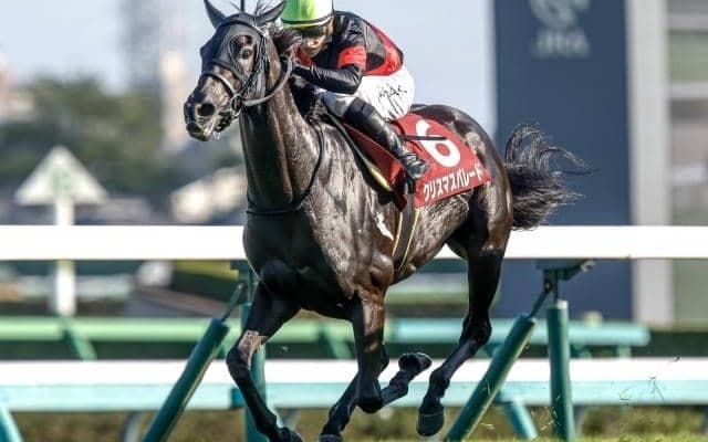 【中山牝馬S予想オッズ】クリスマスパレードが予想1番人気