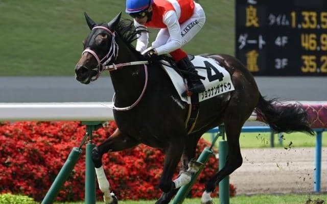 【フィリーズレビュー予想オッズ】ショウナンザナドゥが予想1番人気