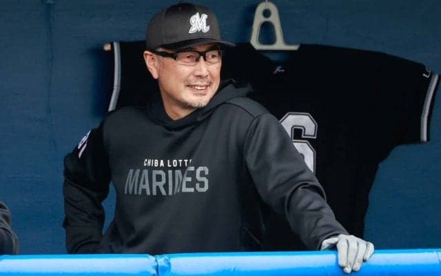 ロッテ本拠地、外野フェンスに“コアラ”　全14か所…球場の雰囲気ガラリ!?