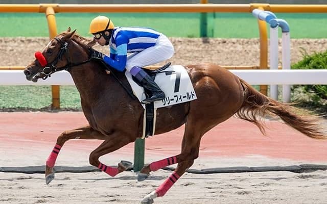 武豊騎手が55歳最後の重賞騎乗 期待のモズアスコット産駒とフィリーズレビュー11年ぶりV狙う