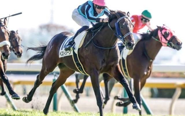 【弥生賞予想】今年も波乱の決着に警戒？ AIが推奨した超人気薄とは