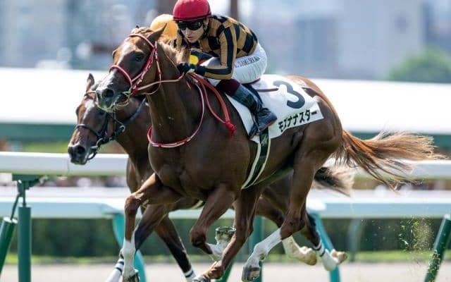 モズアスコット産駒のJRA重賞初制覇なるか フィリーズレビューに2頭が参戦へ