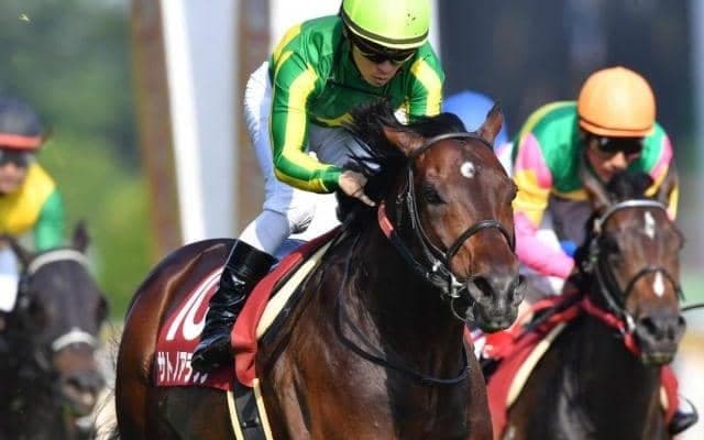 母のきょうだいにGI馬2頭 良血サートゥルナーリア産駒がデビューV狙う