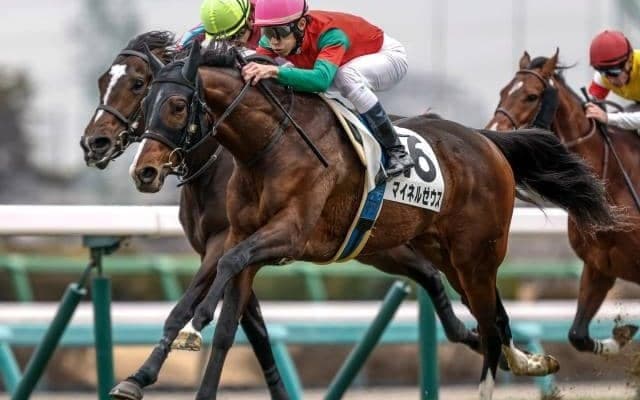 弥生賞に挑む「2代目」マイネルゼウス 初代が届かなかった重賞Vなるか
