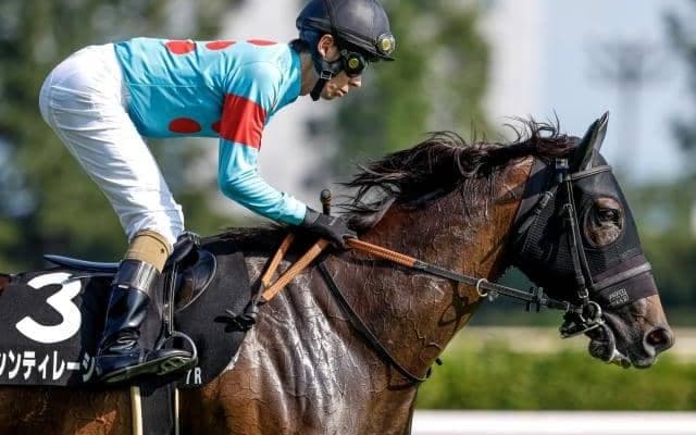 【中山牝馬S枠順確定】シンティレーションは7枠12番、クリスマスパレードは4枠6番