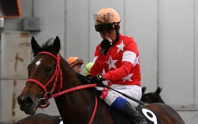 【フィリーズレビュー枠順確定】ルージュラナキラは3枠6番、リリーフィールドは1枠2番