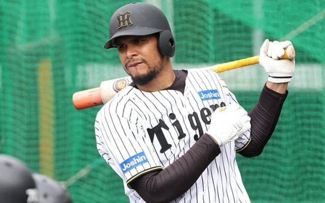 阪神の新助っ人が「良すぎる」　豪快1号で打率.400…甲子園熱狂「優勝だろ」