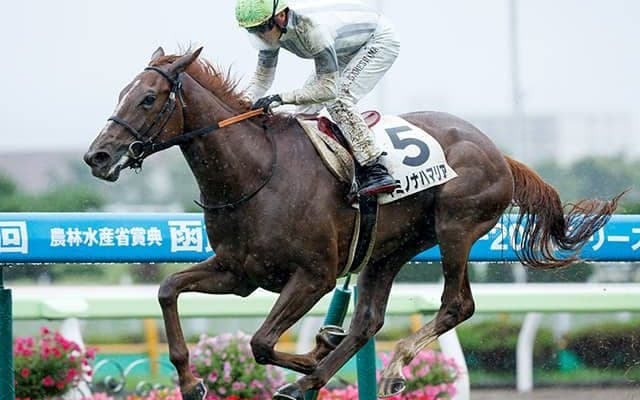 土曜中山は微妙な空模様 中山牝馬Sで期待したい“道悪複勝率80％”の一頭とは
