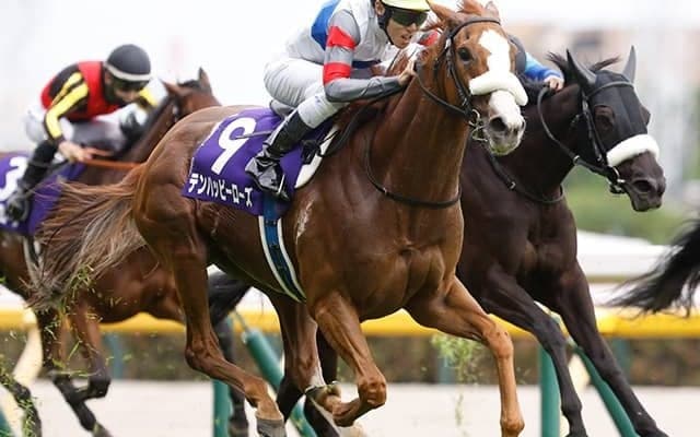 昨年のヴィクトリアMを単勝208.6倍で勝利 テンハッピーローズが抹消・繁殖入り