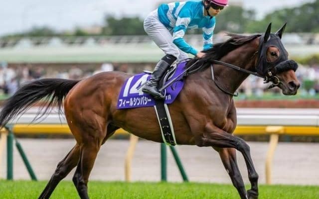 中山芝は内＆前有利 フィールシンパシーが高配の使者になるか