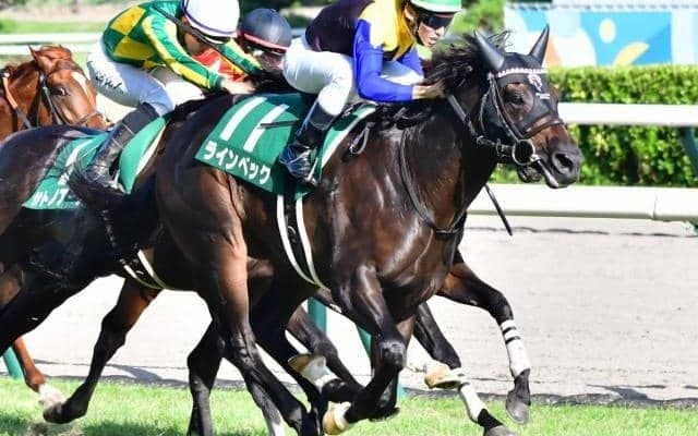 明け8歳となった三冠牝馬アパパネの仔 大阪城Sで2年ぶりの白星狙う