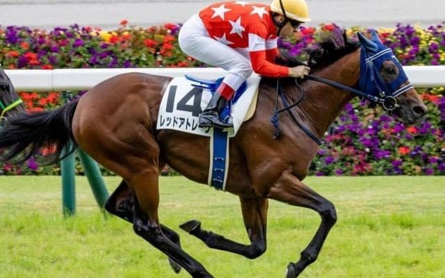 全兄は重賞勝ち馬、祖母は名牝エアグルーヴ 遅咲きの良血馬が連勝なるか