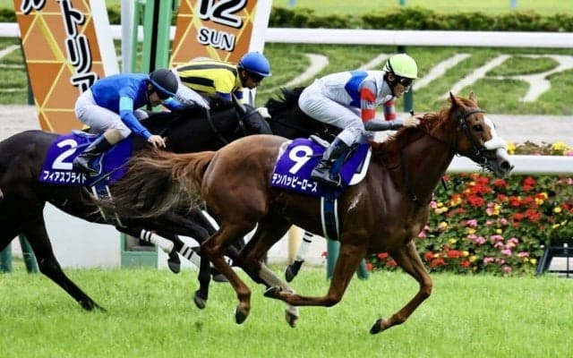 テンハッピーローズの引退…繁殖入り