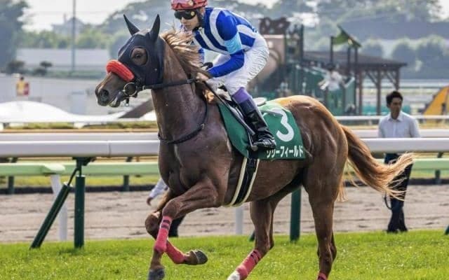 【今日の注目ポイント】阪神でフィリーズレビューと中山で中山牝馬S