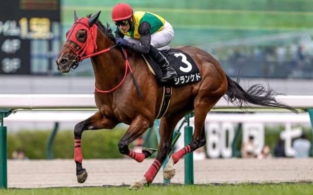 【中山牝馬S予想】ハンデ戦だけに波乱警戒 立ち回りのうまさが問われる一戦