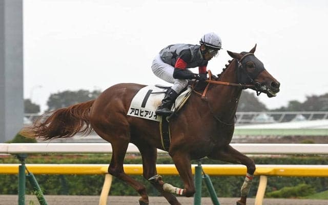 【競馬予想】弥生賞の注目はドゥラメンテ、キタサンブラック産駒　牝系や配合から出世レースを読み解く