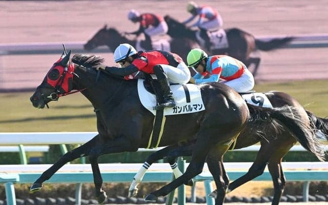 【競馬予想】弥生賞は重賞馬不在で波乱必至　穴党記者が推奨する激アツな２頭