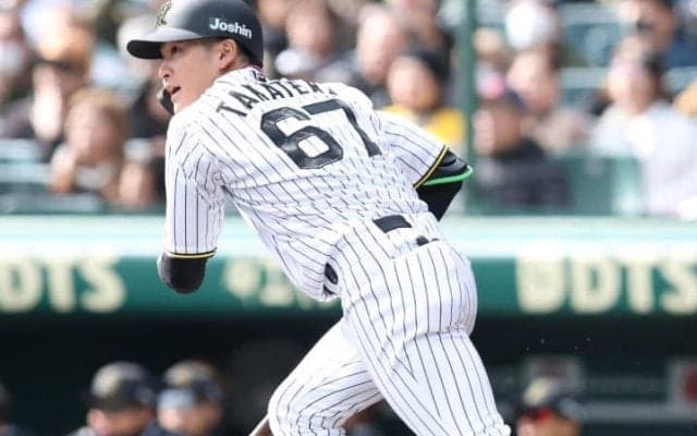 阪神の「神ドラフト」がひそかに話題　佐藤、中野、MVP右腕に加え、また新たな逸材が…「こんな奇跡あるんだ」