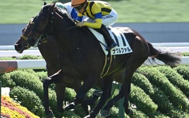 【弥生賞予想】中山芝2000mは大型馬には不向きなコース!? 前走のパフォーマンスを鵜呑みにしづらい人気馬とは